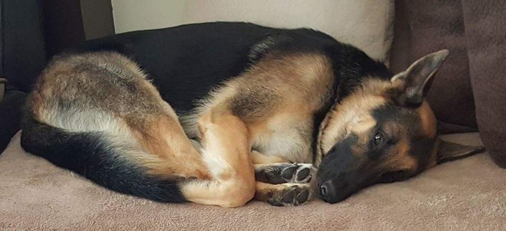 Ảnh: BrightSide Ảnh: BrightSide