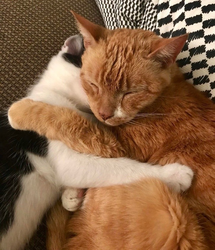 Ảnh: BrightSide Ảnh: BrightSide