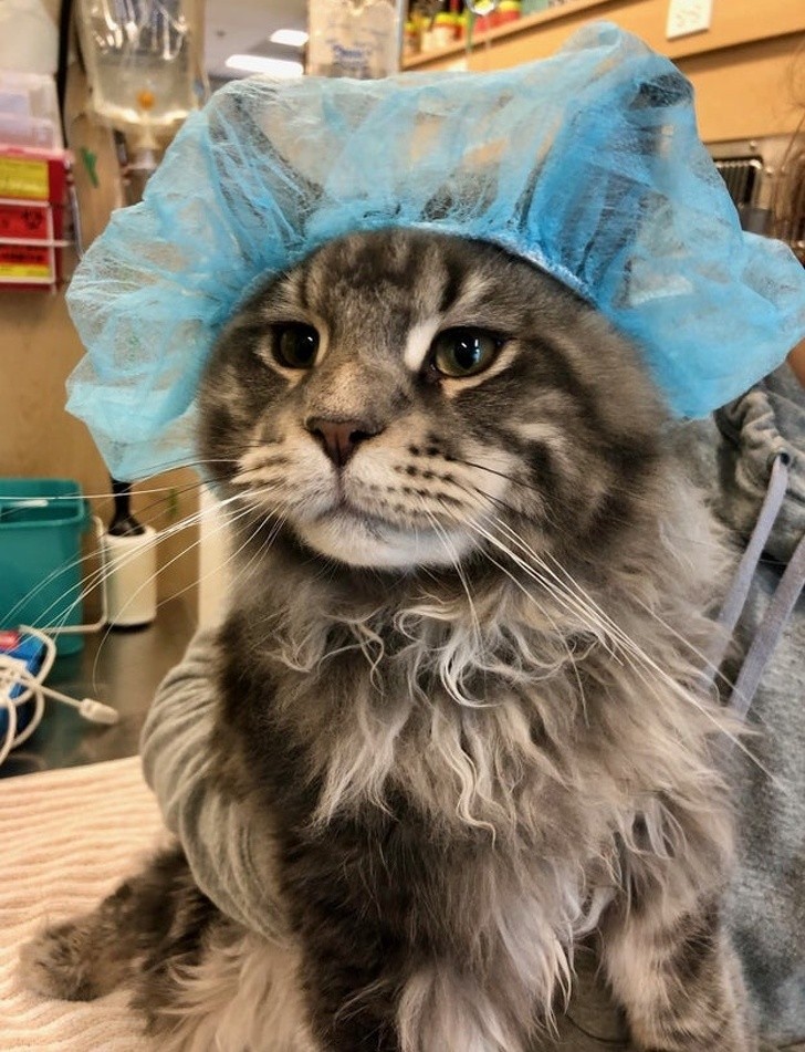 Ảnh: BrightSide Ảnh: BrightSide