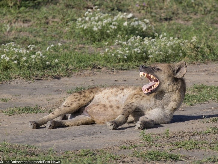 Ảnh: BrightSide Ảnh: BrightSide