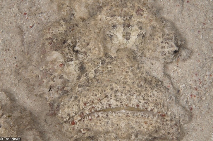 Ảnh: BrightSide Ảnh: BrightSide