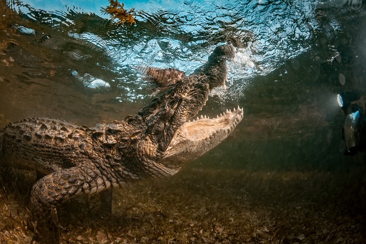 Ảnh: BrightSide Ảnh: BrightSide