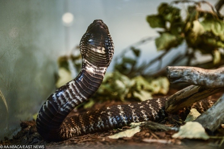 Ảnh: BrightSide Ảnh: BrightSide