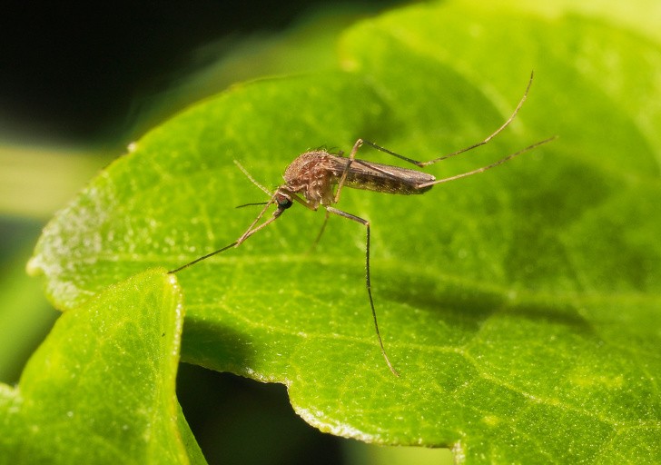 Ảnh: BrightSide Ảnh: BrightSide