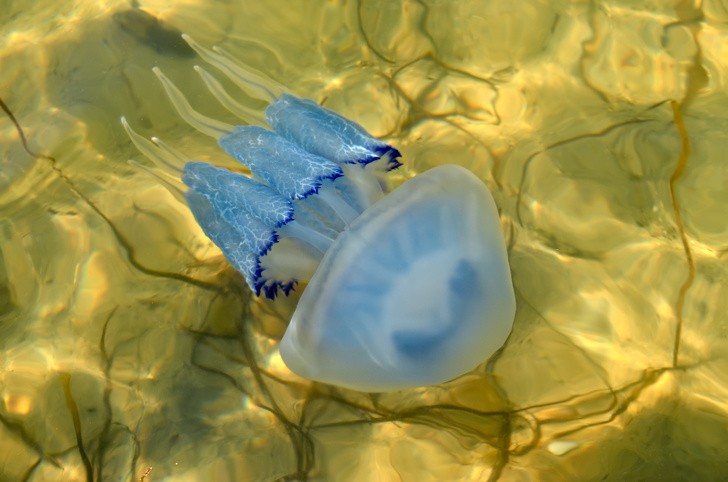 Ảnh: BrightSide Ảnh: BrightSide