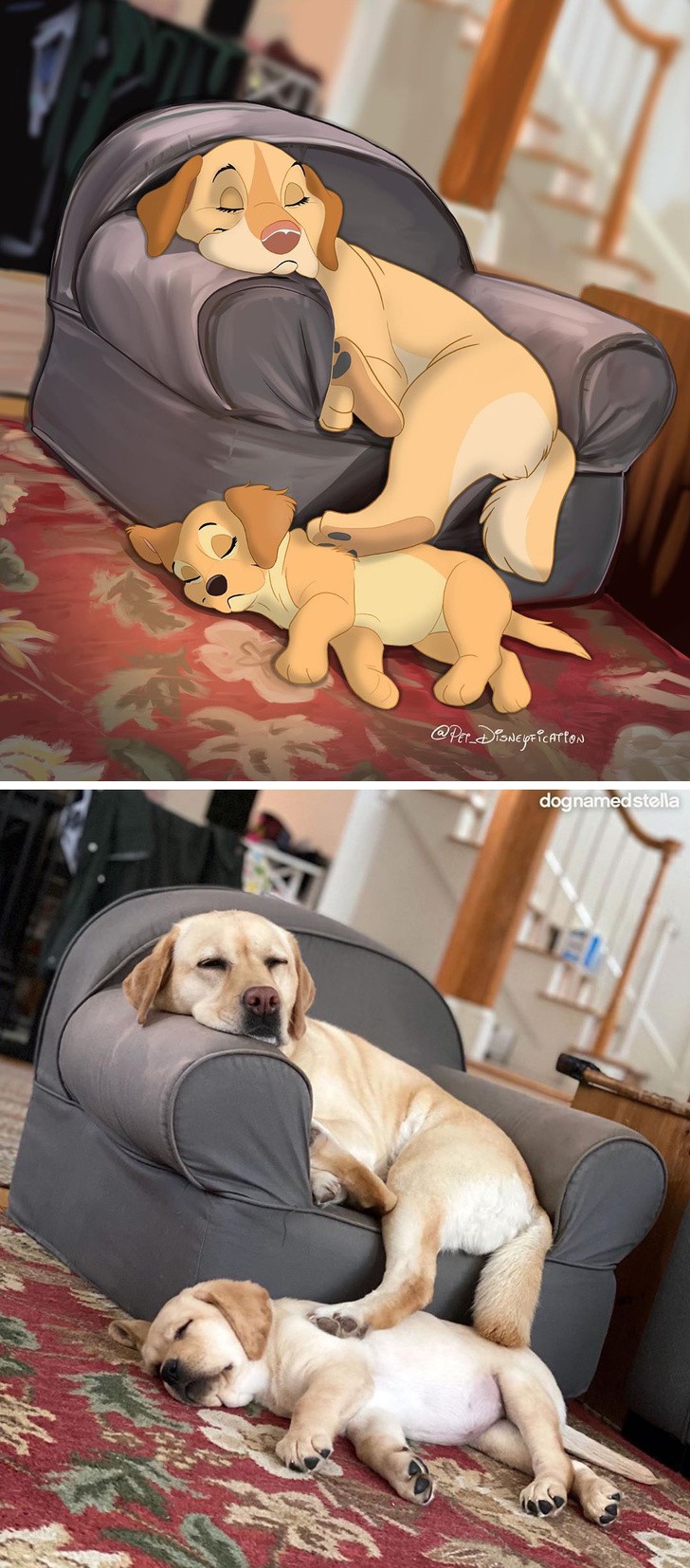 Ảnh: BrightSide Ảnh: BrightSide