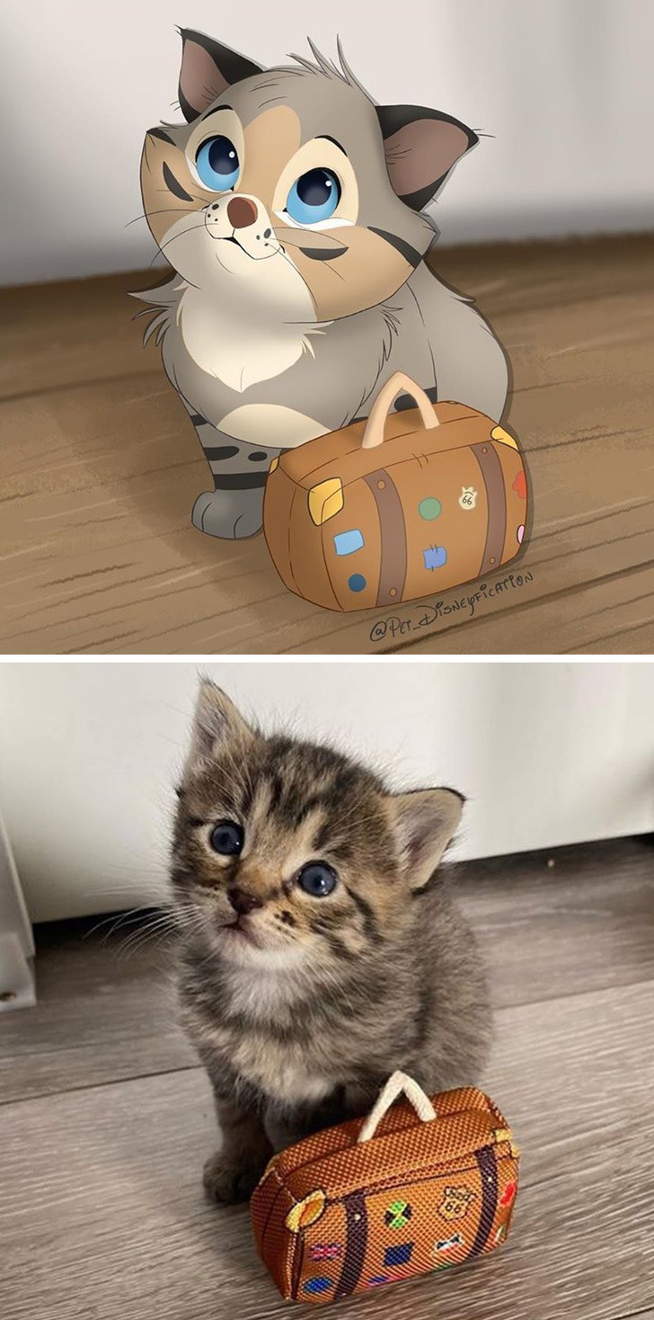 Ảnh: BrightSide Ảnh: BrightSide