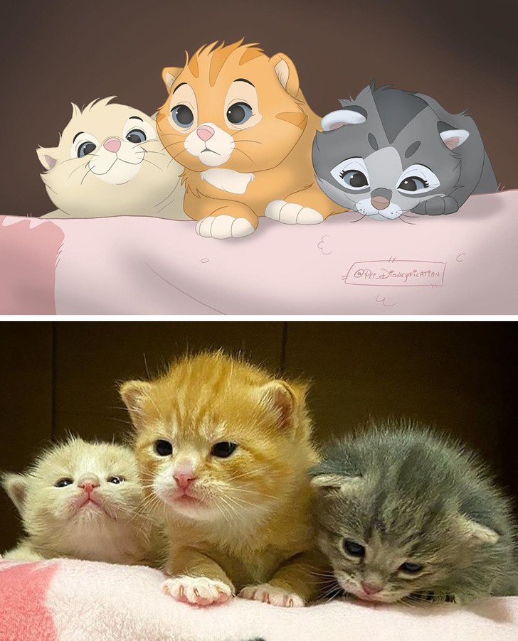 Ảnh: BrightSide Ảnh: BrightSide