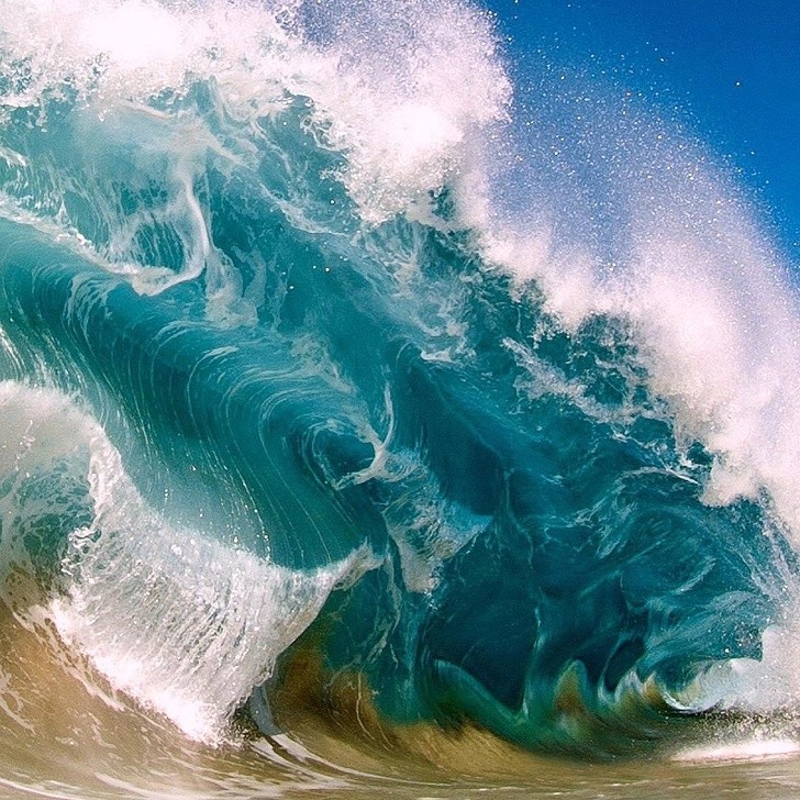 Ảnh: BrightSide Ảnh: BrightSide