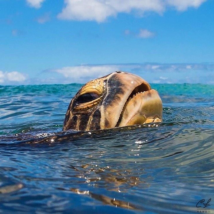 Ảnh: BrightSide Ảnh: BrightSide