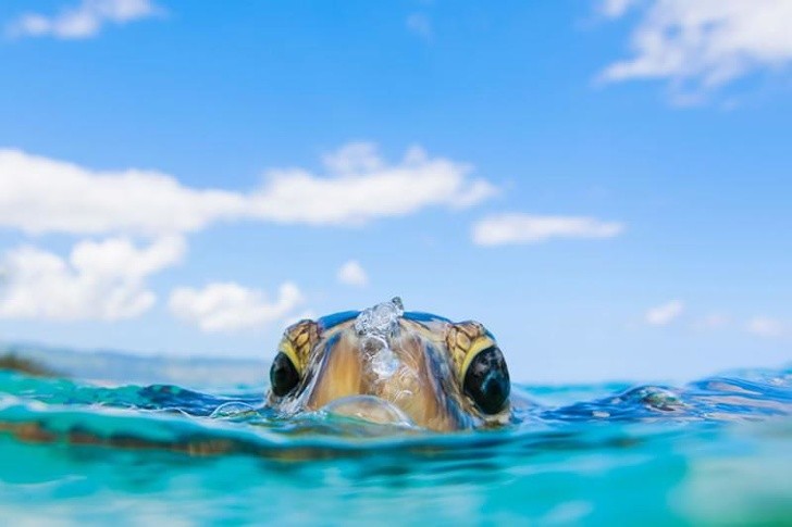 Ảnh: BrightSide Ảnh: BrightSide