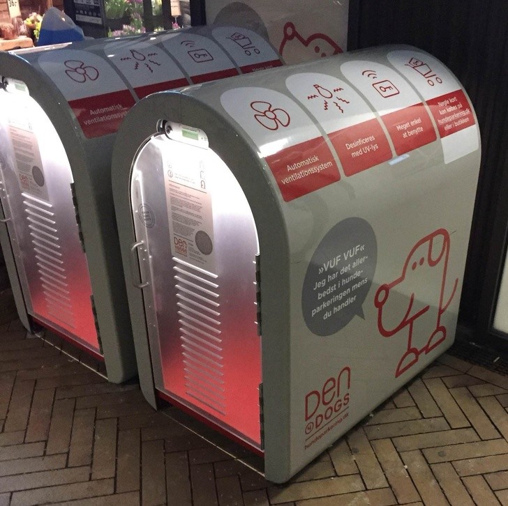 Ảnh: BrightSide Ảnh: BrightSide