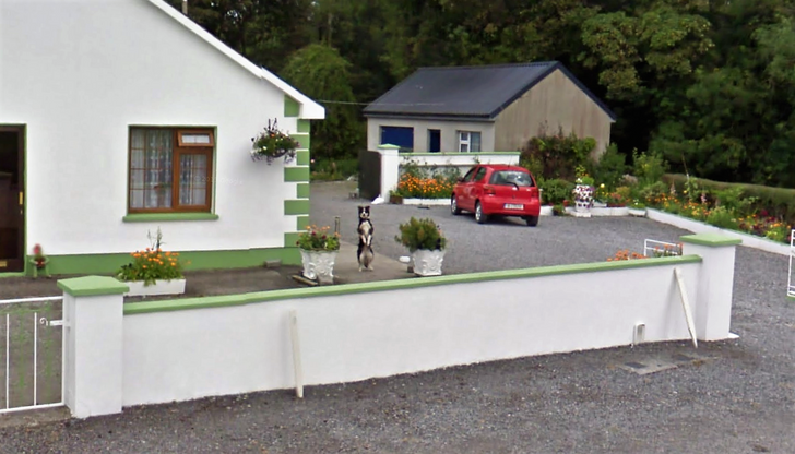 Ảnh: BrightSide Ảnh: BrightSide