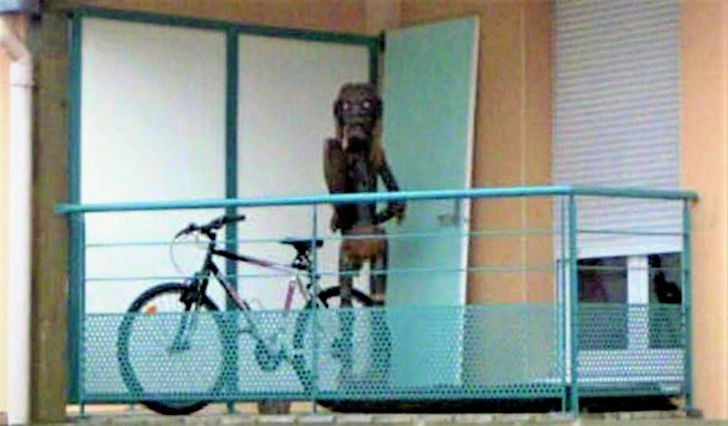 Ảnh: BrightSide Ảnh: BrightSide