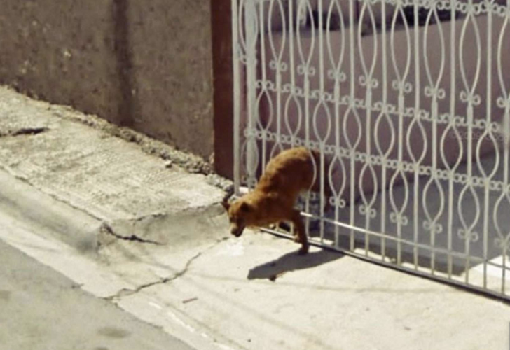 Ảnh: BrightSide Ảnh: BrightSide