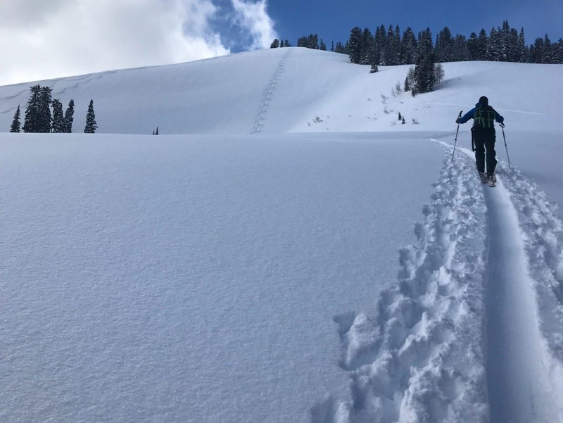 Ảnh: Business Insider