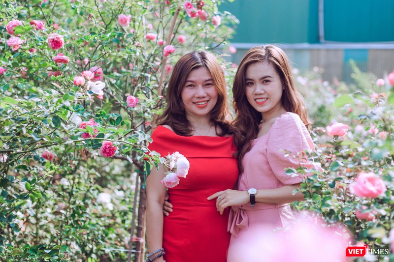 Thùy Dương (trái) thành bạn thân của Phương Nga (phải) để chia sẻ về hoa Thùy Dương (trái) thành bạn thân của Phương Nga (phải) để chia sẻ về hoa