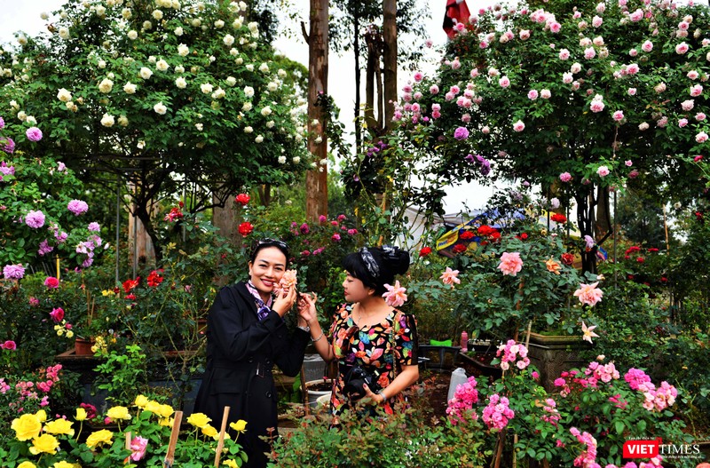 Lạc vào thiên đường hoa Lạc vào thiên đường hoa