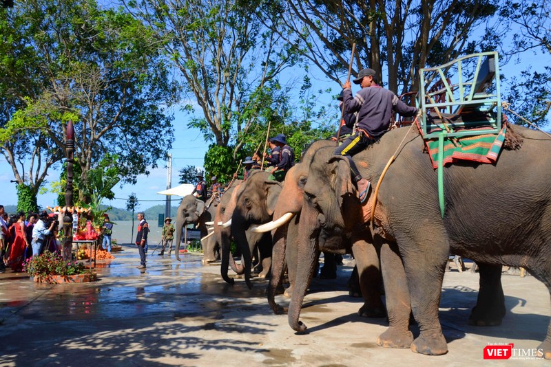 Trang nghiêm lễ cúng Thần Voi