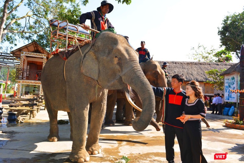 Cô dâu Diễm My bắt chồng về ở rể năm 2019