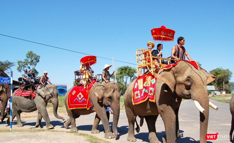 Cô dâu Trà My trên lưng voi năm 2013 Cô dâu Diễm My bắt chồng về ở rể năm 2019