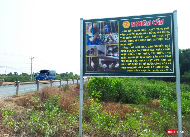 Bất chấp bảng nghiêm cấm dựng cách "chợ chim" Thạnh Hóa không xa