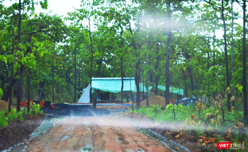 Một Trạm chống dịch mới mở giữa rừng giáp biên giới phía Tây Một Trạm chống dịch mới mở giữa rừng giáp biên giới phía Tây