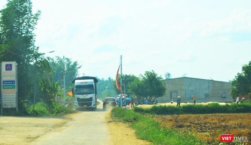 Xe tải lớn vào tận thôn mua lúa Xe tải lớn vào tận thôn mua lúa