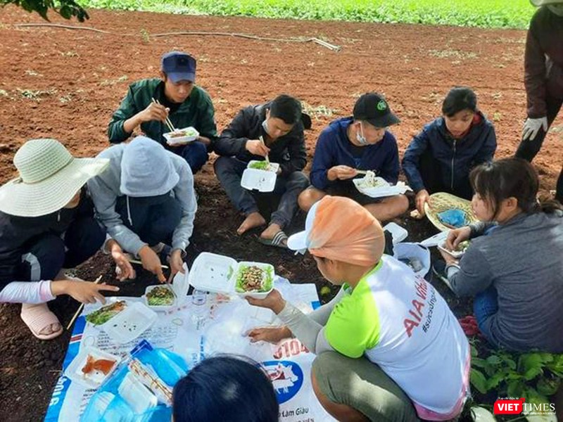 Bữa cơm vội vã trên đồng rau của các tình nguyện viên thầm lặng Bữa cơm vội vã trên đồng rau của các tình nguyện viên thầm lặng