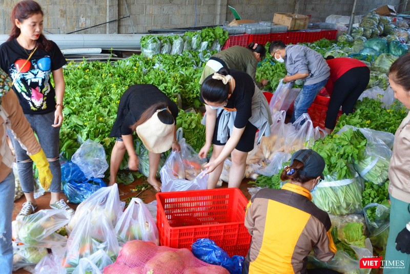 Team Rau 47 hối hả đóng gói hàng Team Rau 47 hối hả đóng gói hàng