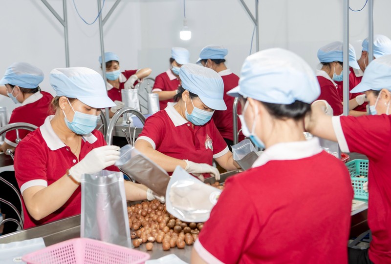 Qua khâu chế biến, đóng gói thành phẩm, giá tăng gấp đôi