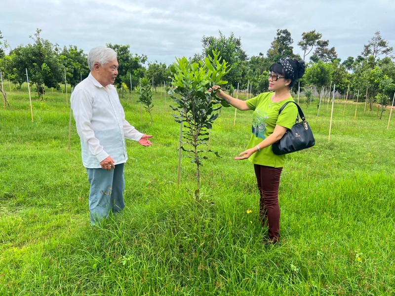 Giáo sư Hoàng Hòe trao đổi với tác giả giữa vườn mắc ca mới trồng