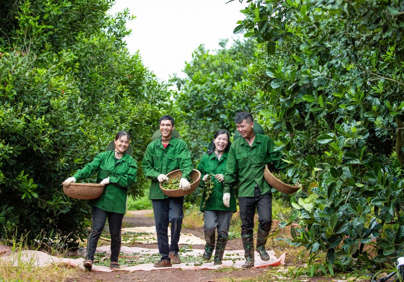 Niềm vui ngày mùa