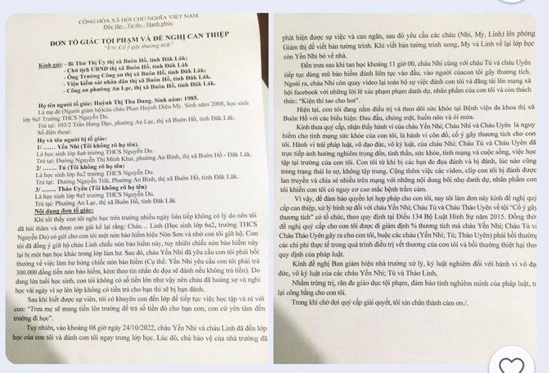 Đơn dự thảo của mẹ cháu DM trước khi gửi các cơ quan chức năng