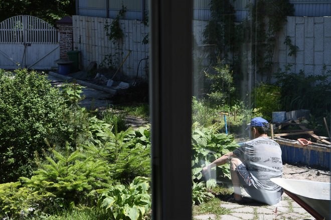 Một người Triều Tiên đang chăm vườn rau Một người Triều Tiên đang chăm vườn rau