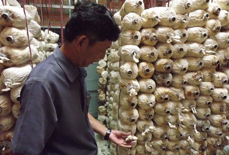 Làm giàu không khó