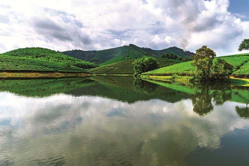 Đảo chè ở Thanh Chương hầu như hiện hữu và tươi đẹp quanh năm, không phụ thuộc nhiều vào mùa vụ như những địa điểm du lịch khác. Đảo chè ở Thanh Chương hầu như hiện hữu và tươi đẹp quanh năm, không phụ thuộc nhiều vào mùa vụ như những địa điểm du lịch khác.