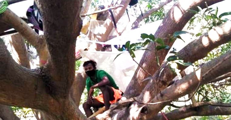 Người dân làng Vangidi, huyện Purulia, bang Tây Bengal, Ấn Độ tự lập các “macha” trên cây để cách ly. Ảnh: Asianet News Network.