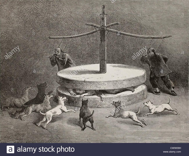 Những “vật thí nghiệm” bị làm nhiễm các bệnh thương hàn, dịch tả, bệnh lị và bị đầu độc bằng khí độc. Những “vật thí nghiệm” bị làm nhiễm các bệnh thương hàn, dịch tả, bệnh lị và bị đầu độc bằng khí độc.