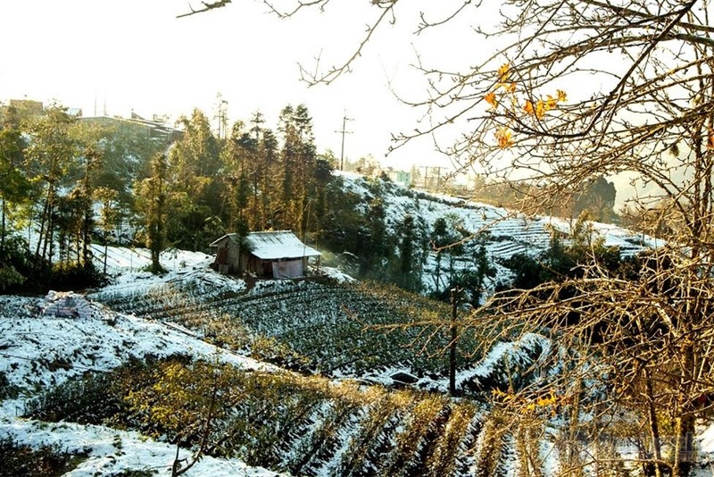 Ngắm tuyết trên những thửa ruộng bậc thang ở “nóc nhà Đông Dương“ ảnh 2