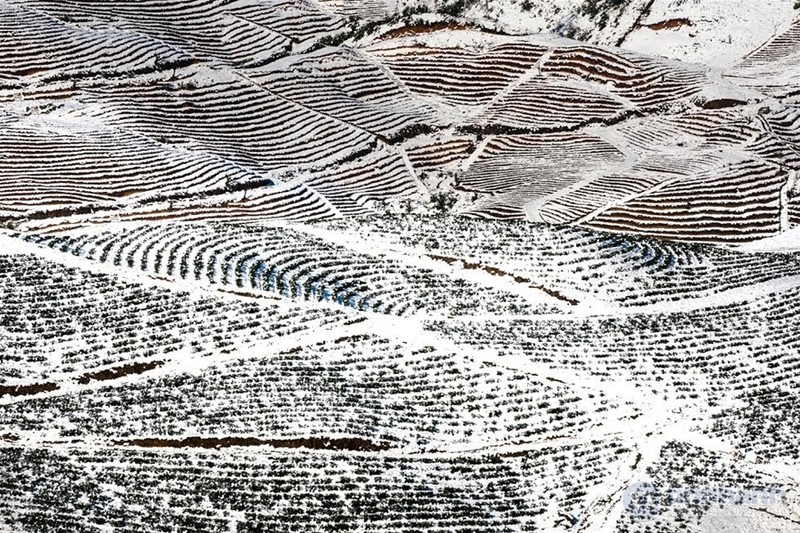 Ngắm tuyết trên những thửa ruộng bậc thang ở “nóc nhà Đông Dương“ ảnh 5