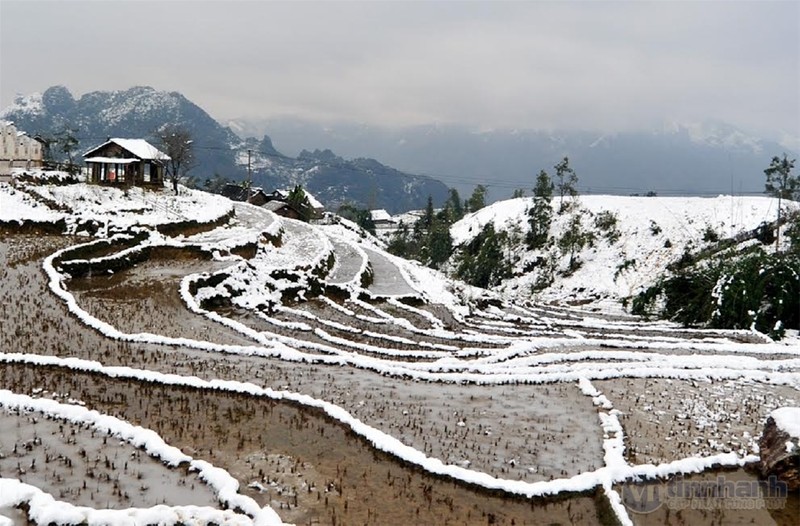 Ngắm tuyết trên những thửa ruộng bậc thang ở “nóc nhà Đông Dương“ ảnh 8