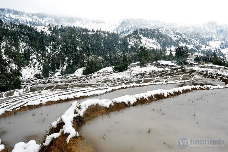 Ngắm tuyết trên những thửa ruộng bậc thang ở “nóc nhà Đông Dương“ ảnh 10