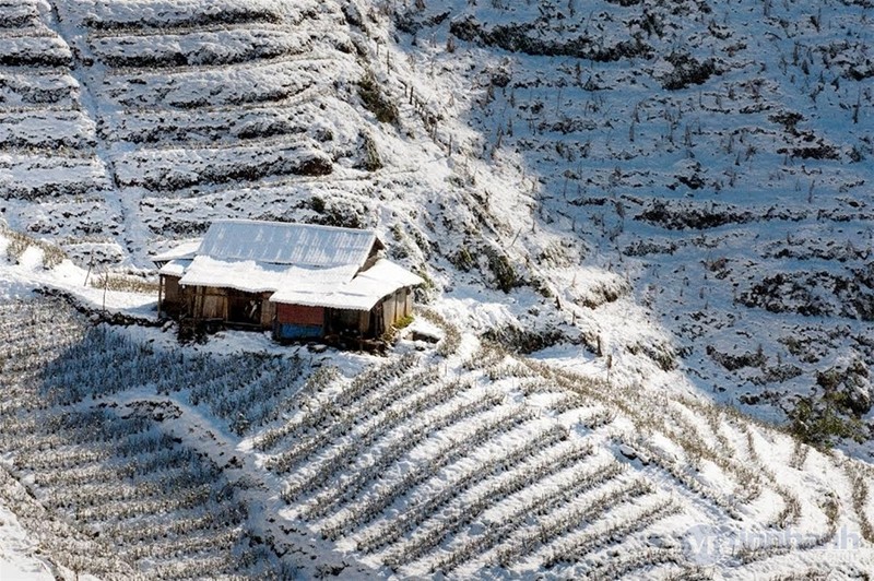 Ngắm tuyết trên những thửa ruộng bậc thang ở “nóc nhà Đông Dương“ ảnh 17