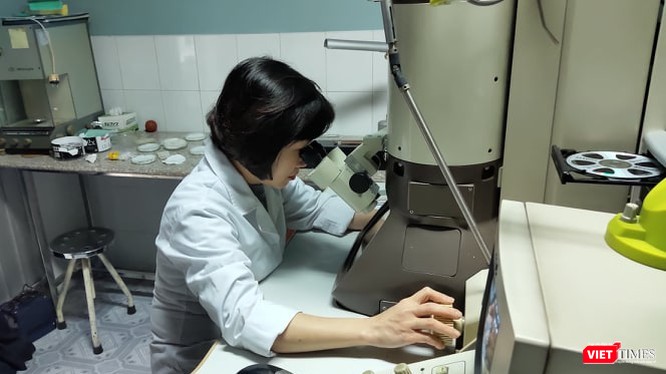 Cán bộ làm việc tại Viện Vệ sinh dịch tễ Trung ương. Ảnh: Minh Thúy