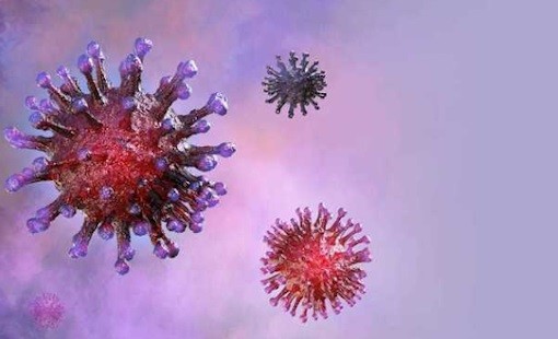 Các loại virus rất dễ tấn công người cao tuổi. Ảnh: Internet Các loại virus rất dễ tấn công người cao tuổi. Ảnh: Internet