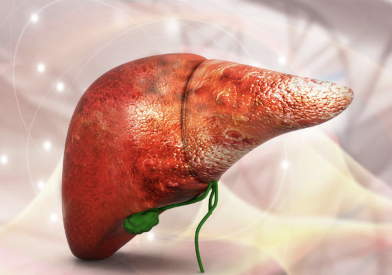 Gan (Ảnh: Bold Sky) Gan (Ảnh: Bold Sky)