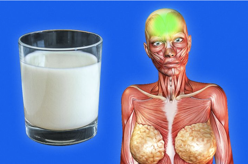 Sữa có các hợp chất có thể cải thiện chất lượng giấc ngủ của bạn (Ảnh: Brightside) Sữa có các hợp chất có thể cải thiện chất lượng giấc ngủ của bạn (Ảnh: Brightside)