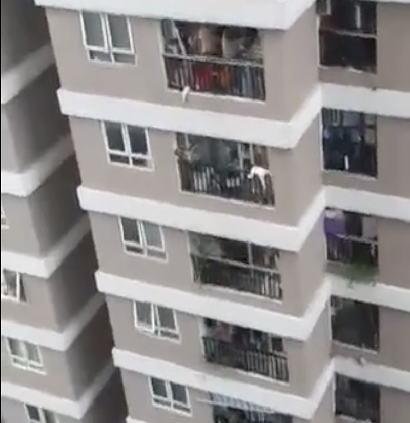 Cháu bé ngã tử tầng 12 ở chung cư (Ảnh cắt từ video)