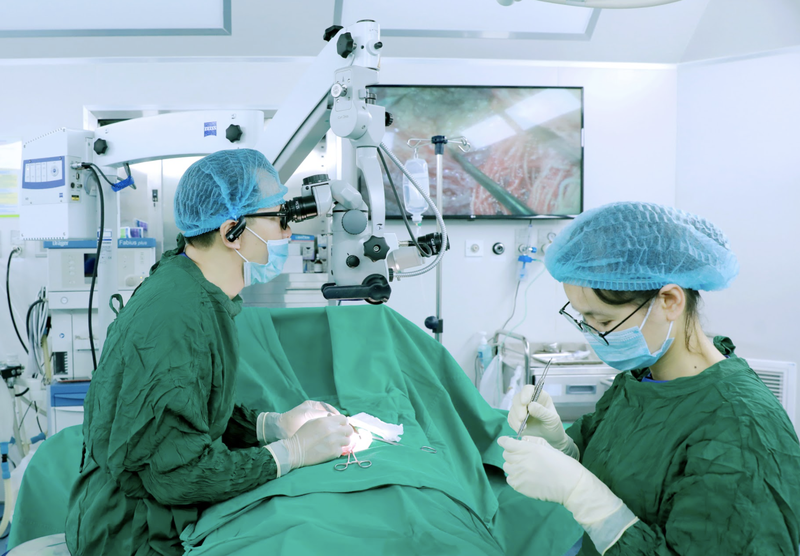 Ứng dụng AI trong lĩnh vực sản phụ khoa 